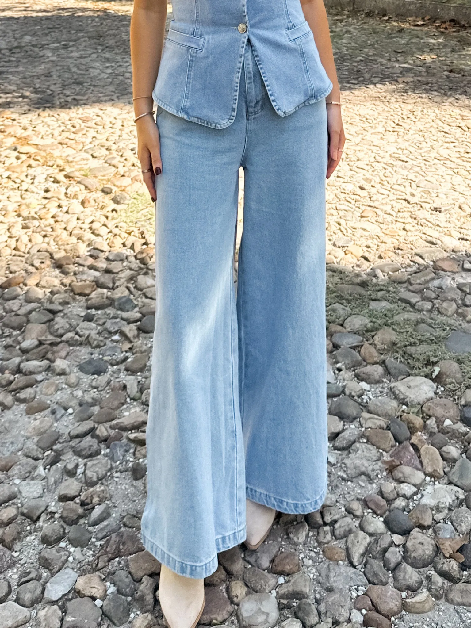 Hudson Wide Leg Pants